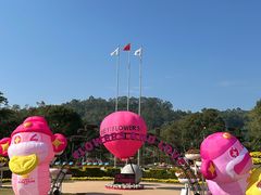 -东南花都花博园