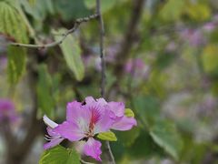 -文华公园(禅城区)