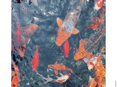 -上海星河湾酒店(闵行店)