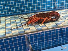 -蓝钻·国际美食海鲜自助百汇(西直门店)