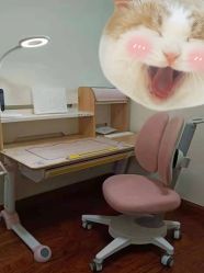 -2平米·智慧学习桌·希沃学习机·学而思学习机(古墩美凯龙店)