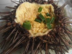 -大锅强·蒸海鲜青岛菜(吾悦广场店)