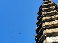 -西泠印社