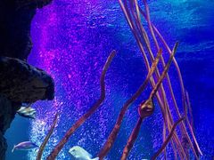 -沈阳海洋探索中心