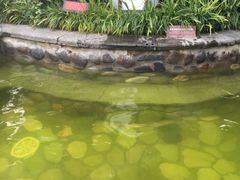-杭州第一世界大酒店·云曼温泉