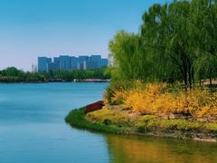 -大兴滨河森林公园