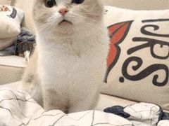 -农园餐厅(北京大学店)