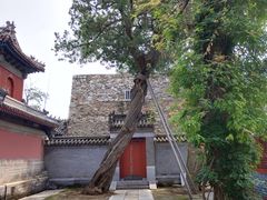 -承恩寺