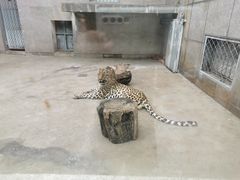 -西安秦岭野生动物园