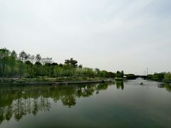 -映月湖中央公园