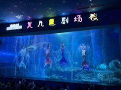 -多彩贵州城极地海洋世界