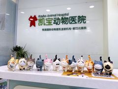 -悦宠凯宝动物医院·牙科·皮肤科(朝阳北路店)