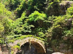 -天台山琼台仙谷景区