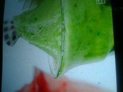 -庆岭迎宾园正宗活鱼馆