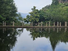 -连云港云龙涧原生态风景区
