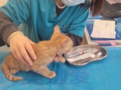-美迦爱-牙专科·兔科·骨科诊疗中心(北苑店)