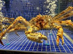 -高佳庄·海鲜酒楼(定海店)