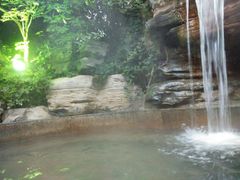 android_upload_pic-常州环球恐龙城维景国际大酒店