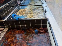 -川骄海鲜自助(河东店)