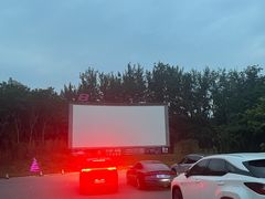 -枫花园汽车电影院(朝阳公园店)