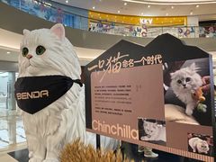 -宝龙城(杭州滨江店)