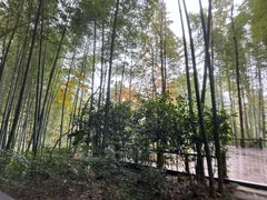 -天目湖御水温泉·度假酒店