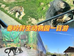 -西安秦岭野生动物园