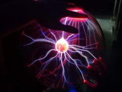 -陕西自然博物馆