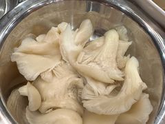 平菇-川香煲(茅台路店)