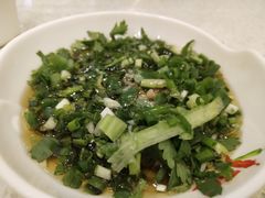 -杨肥肠小火锅(新桥店)