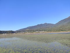-腾冲北海湿地
