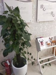 -Cocodemer女性健康·产后恢复(天一广场店)