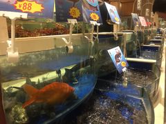 水产区-海景壹号大酒店(滨湖店)