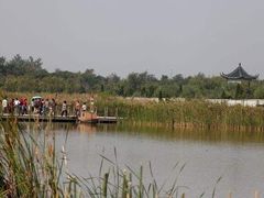 -盐城丹顶鹤湿地生态旅游区