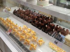 -蒲公英(五里店)