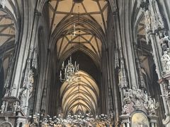 -斯蒂芬主教座堂(Stephansdom)