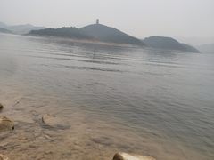 -望湖烤鱼