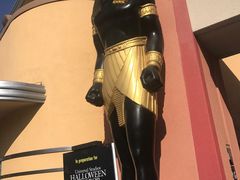 -木乃伊复仇过山车