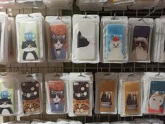 -猫咪博物馆(顶澳仔猫街店)