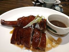 -猪肉婆私房菜(容桂总店)