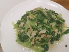 -新吉士·上海菜(浦东LCM置汇旭辉店)