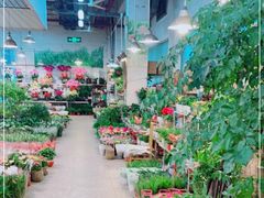 -双季花艺园艺市场(浦东店)