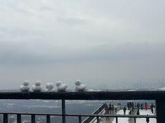 -紫金山山顶公园