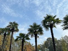 -四川大学(华西校区)