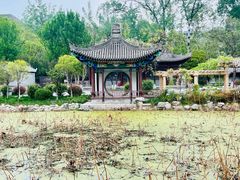 -莲湖公园