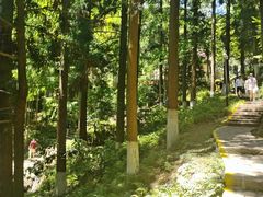 -莫干山风景区