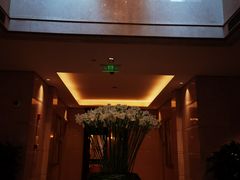 -羿庭 Peacock Alley(上海外滩华尔道夫酒店)