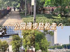 -成都市活水公园