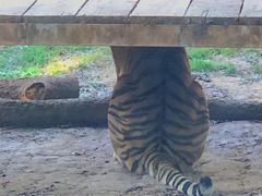 -昆明动物园