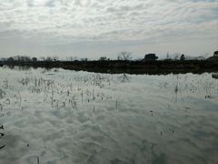 -三垟湿地